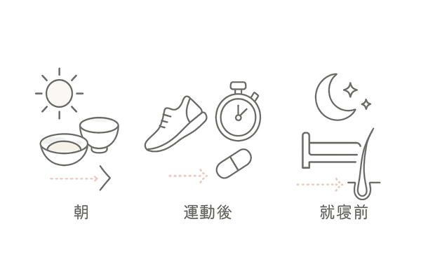 アミノ酸の摂取ゴールデンタイム(朝・運動後・就寝前)図解|女性の髪を守るタイミング