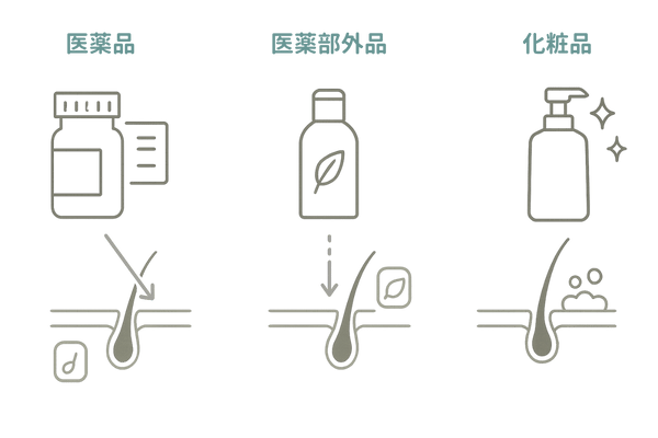 医薬品・医薬部外品・化粧品の違いを一目で理解|女性の薄毛対策シャンプーの分類図