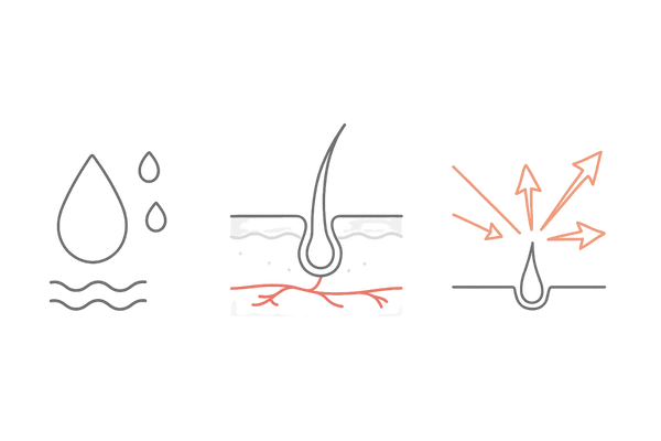 フロジンと女性ホルモンの関係図|ホルモン非干渉で頭皮環境を整えるイメージ