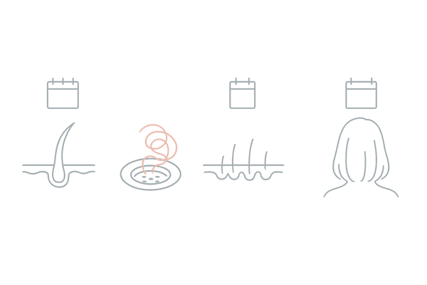 ミノタブ2.5mgの効果の流れ｜初期脱毛からボリューム改善までの目安イラスト
