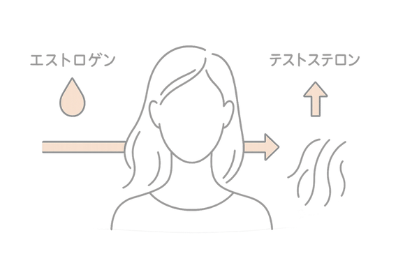 女性ホルモンの減少により男性ホルモンが優位になることで起こる髪の変化