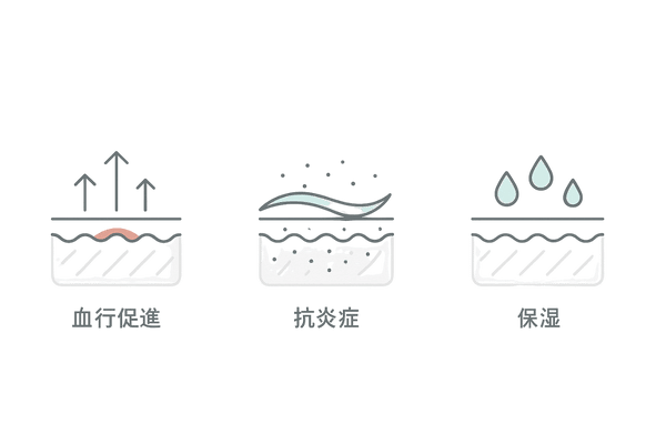 育毛ローションの主要有効成分｜血行促進・抗炎症・保湿の役割図