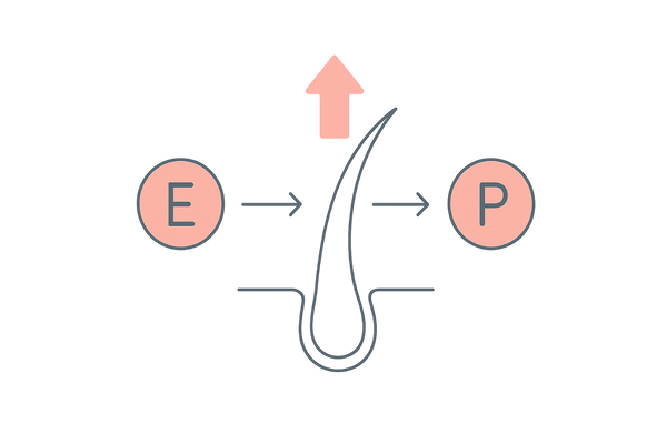 女性ホルモンと髪(エストロゲン・プロゲステロンの役割)