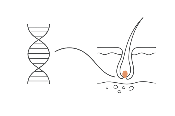 遺伝子が頭皮環境に与える影響