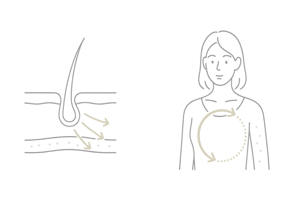 女性の薄毛治療薬｜主作用と副作用の違いを示す概念図