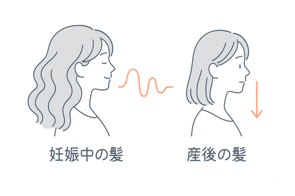 妊娠中と産後のホルモン変化と髪の状態の比較