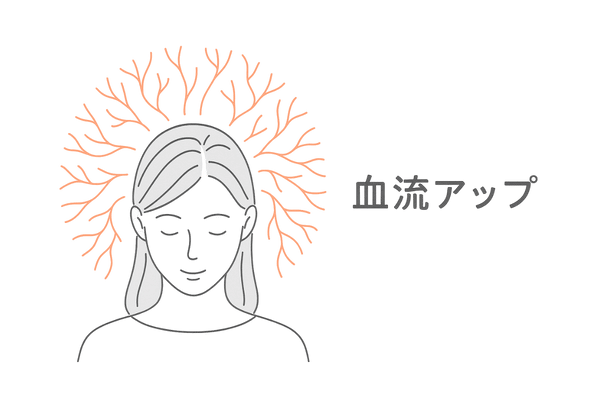 センブリエキスやビタミンE誘導体が頭皮の血行をサポートするイメージ