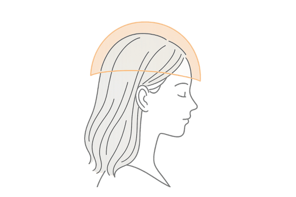 女性ホルモン様作用（イソフラボン・ヒオウギエキス）が髪を守るイメージ