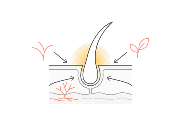 女性のびまん性脱毛症に多角的にアプローチする育毛成分イメージ