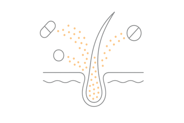 パントガールに代表される栄養サポート型ヘアケアのイメージ