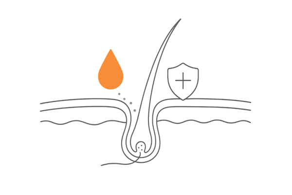 センブリエキスやグリチルリチン酸が頭皮環境を整えるイメージ