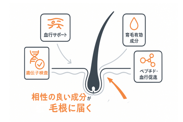 遺伝子検査で判明する薄毛リスクと有効成分の相性イメージ