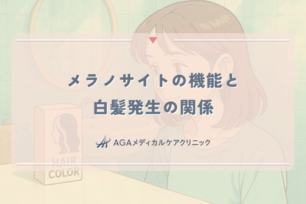 メラノサイトの機能と白髪発生の関係｜女性の髪の老化メカニズム