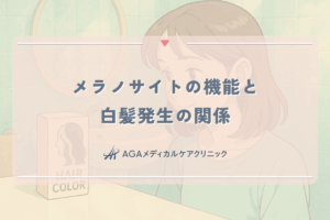 メラノサイトの機能と白髪発生の関係｜女性の髪の老化メカニズム