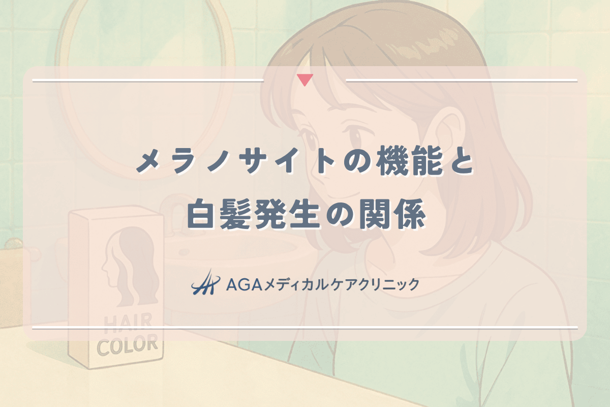 メラノサイトの機能と白髪発生の関係｜女性の髪の老化メカニズム
