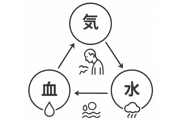 漢方医学における気血水のバランスと薄毛の関係図