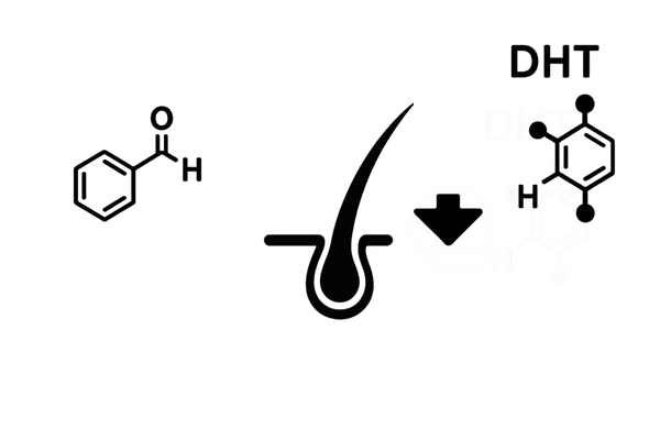 AGA進行におけるDHTとテストステロンの関係イメージ