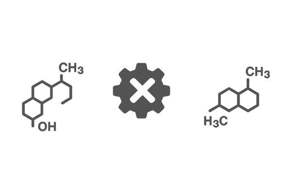 フィナステリドの作用でDHT生成を抑制するイメージ