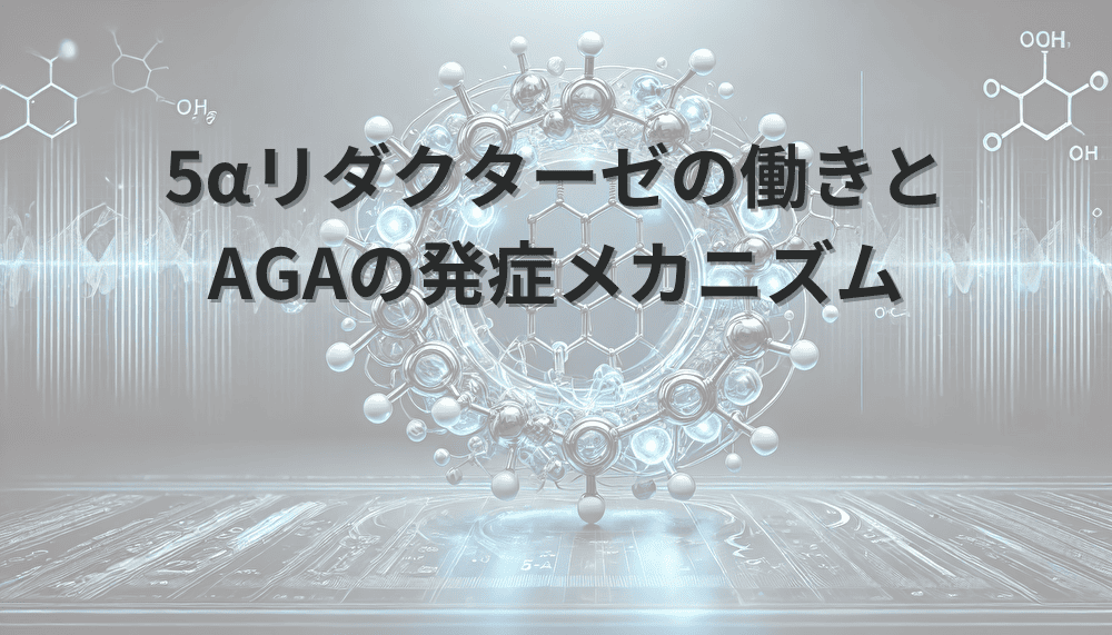 5αリダクターゼの働きとAGAの発症メカニズム