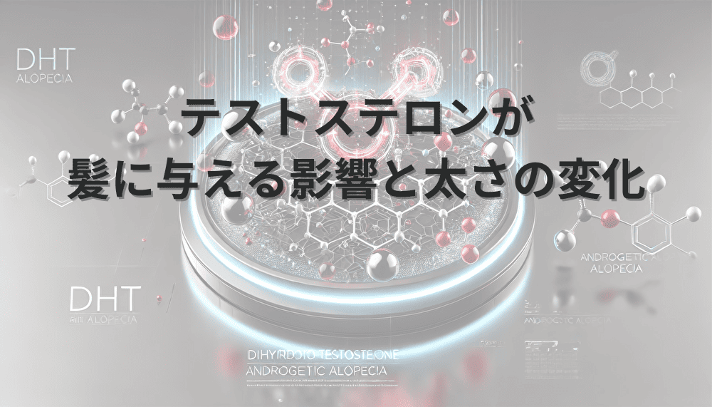 テストステロンが髪に与える影響と太さの変化
