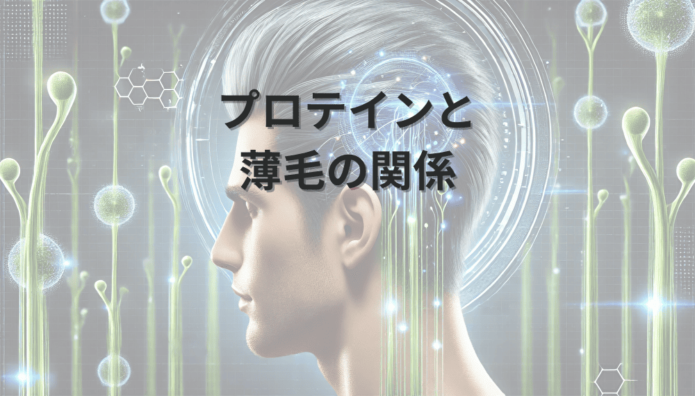 プロテインと薄毛の関係|タンパク質摂取の適切な方法